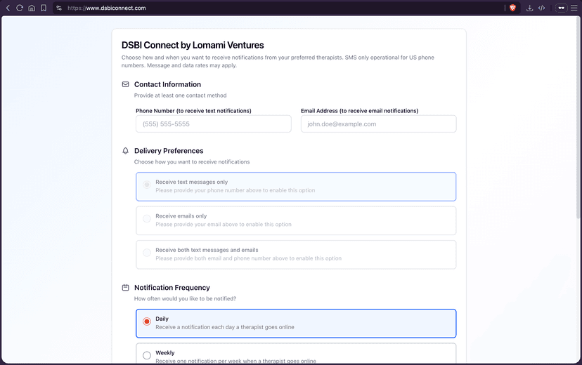 dsbiconnect screenshot